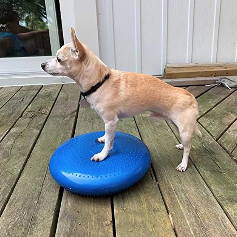 Balance Cushion Disc - Dog Balance Disc Cushion Rehab Exercise