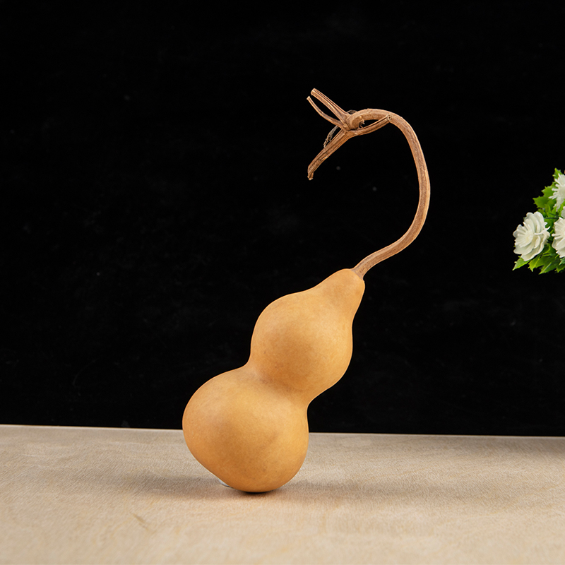1pc Natural Gourd Handicraft O - огляд і ціна Longevity Health & Wellness Hotel