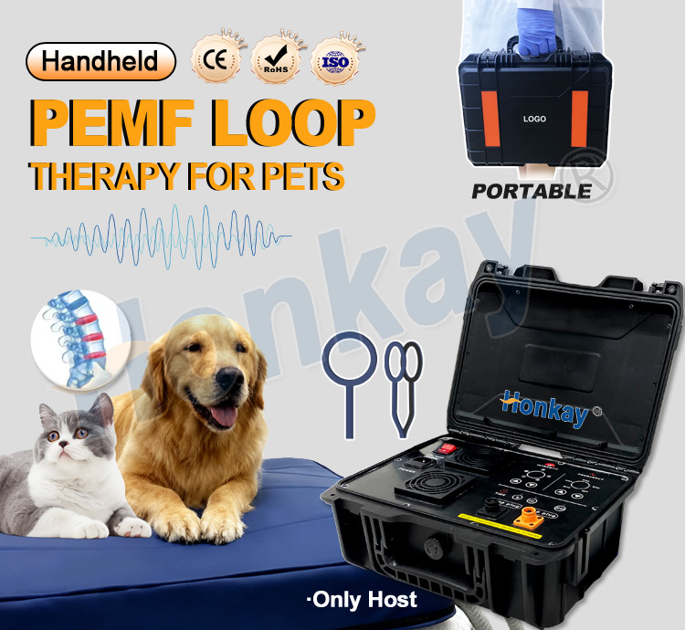 Personal Pet Care PEMF Device  - огляд і ціна Therapy Health And Wellness