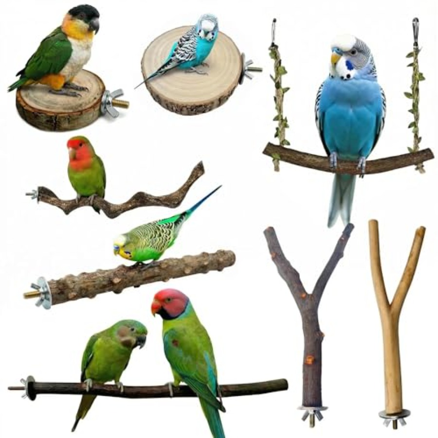 8PCS natural wood bird perches - огляд і ціна Health & Wellness Lions