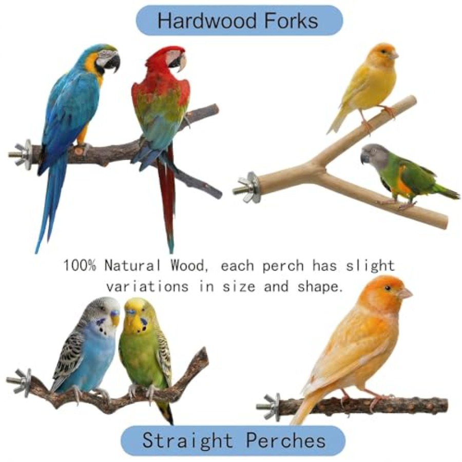 8PCS natural wood bird perches - огляд і ціна Health & Wellness Lions