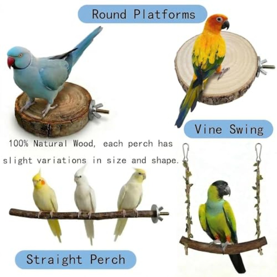 8PCS natural wood bird perches - огляд і ціна Health & Wellness Lions
