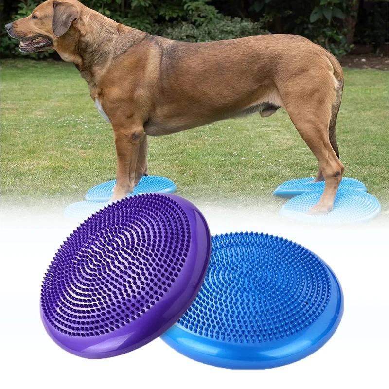 Dog Balance Disc Cushion Rehab - огляд і ціна Balance Cushion Disc