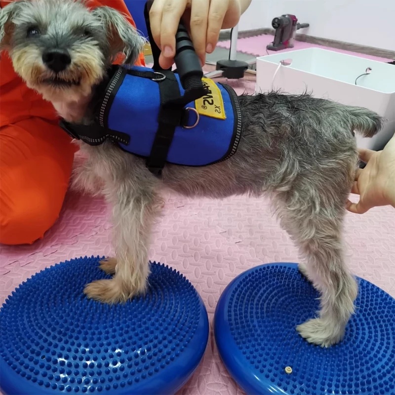 Dog Balance Disc Cushion Rehab - огляд і ціна Balance Cushion Disc