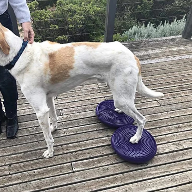 Dog Balance Disc Cushion Rehab - огляд і ціна Balance Cushion Disc