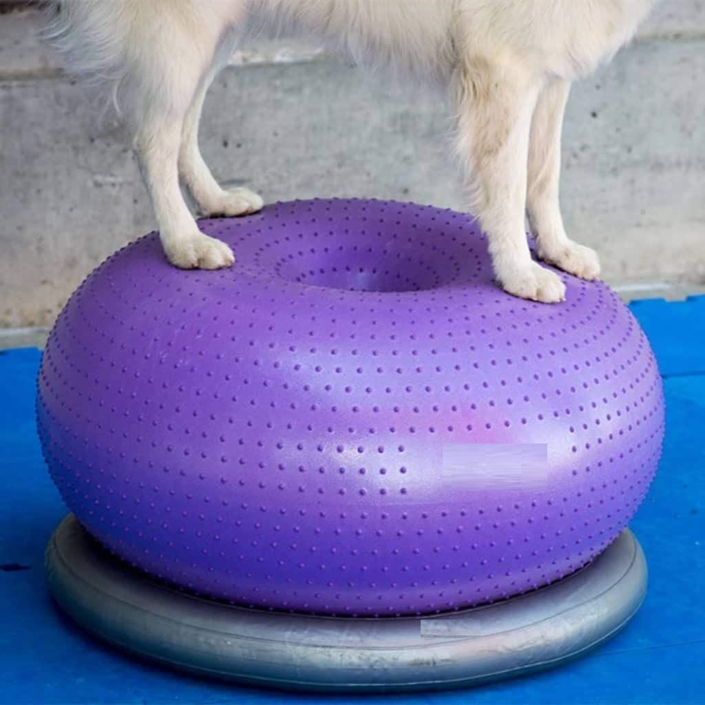 Balance Disc Cushion Dog Balan - огляд і ціна Balance Cushion Disc