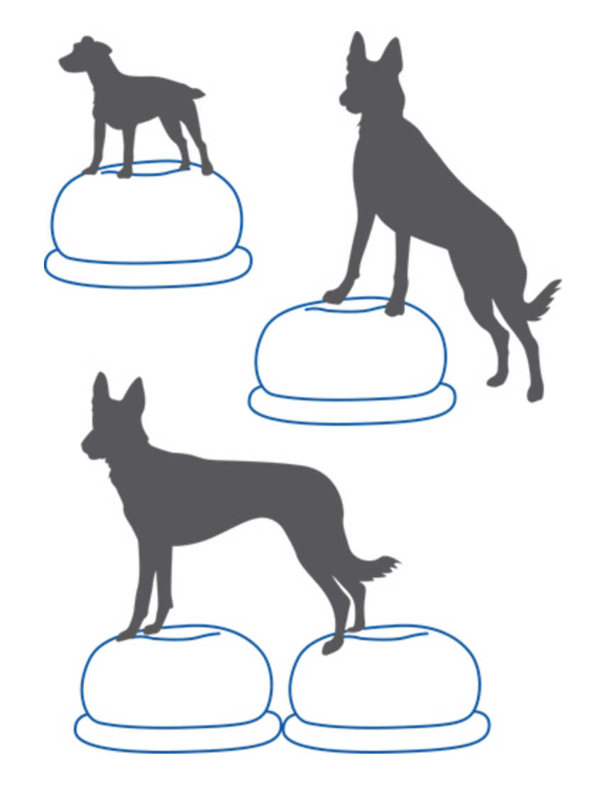 Balance Disc Cushion Dog Balan - огляд і ціна Balance Cushion Disc